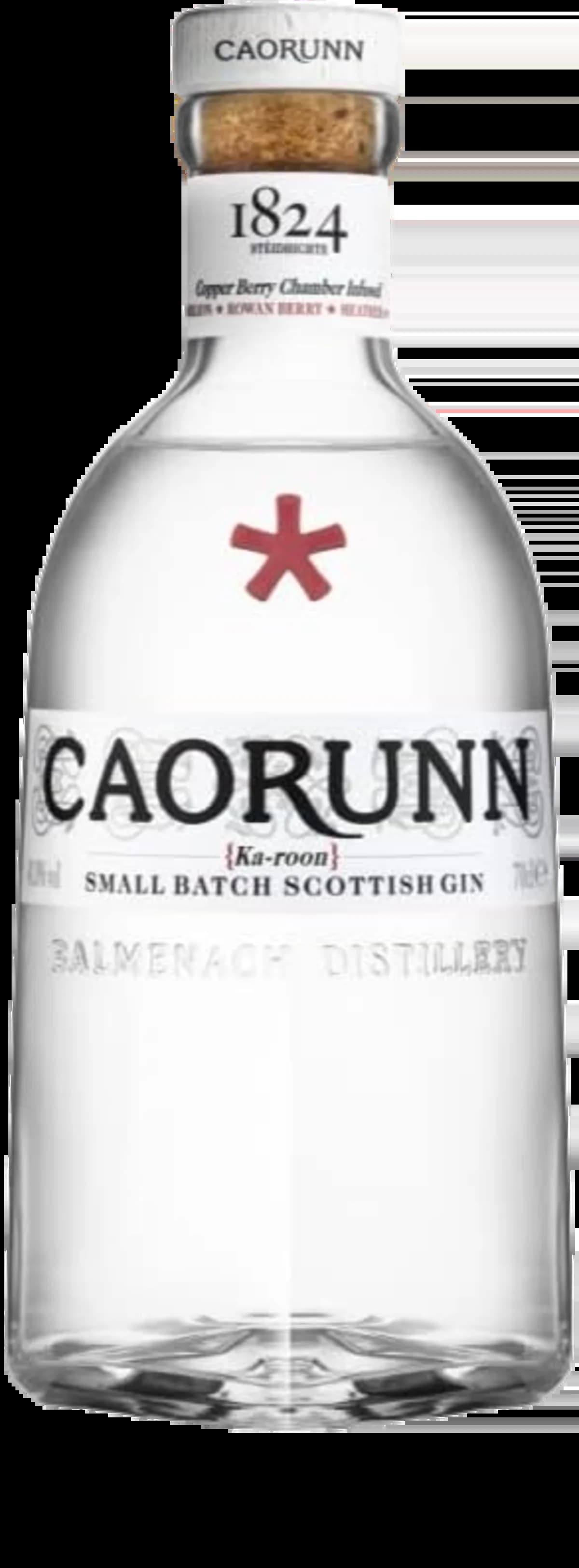 Abbildung einer Gin Flasche Caorunn Small Batch Scottish Gin