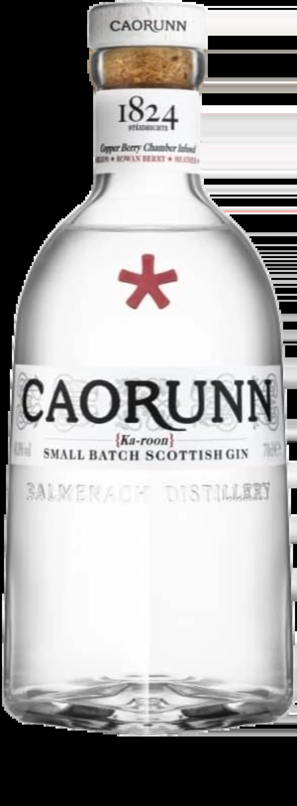 Illustration des Gins Caorunn Small Batch Scottish Gin